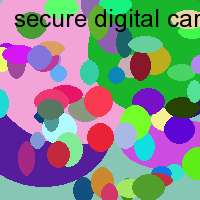 secure digital card 1