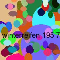 winterreifen 195 75 r16 c